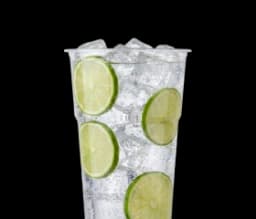 gin-tonic