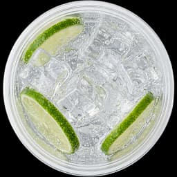 gin-tonic